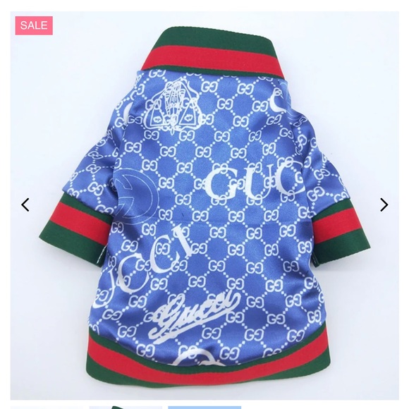 Drippy Pets GG Classic Luxury Hoodie main image 0
